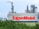 ExxonMobil Graduate Internship Program 2026