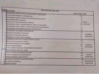Adamawa State CSC Data Capture