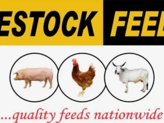Livestock Feeds Plc Recruitment 2026