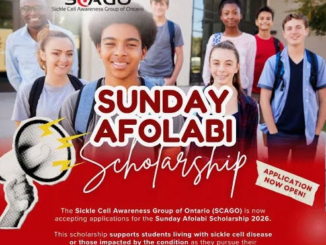 Sunday Afolabi Scholarship Grant 2026