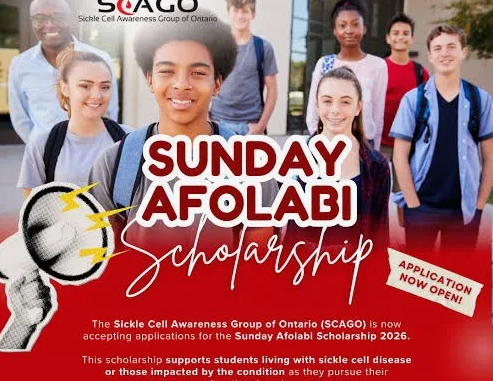 Sunday Afolabi Scholarship Grant 2026
