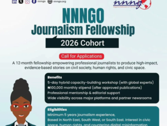 NNNGO Journalism Fellowship 2026