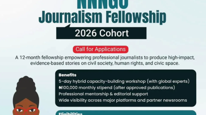 NNNGO Journalism Fellowship 2026