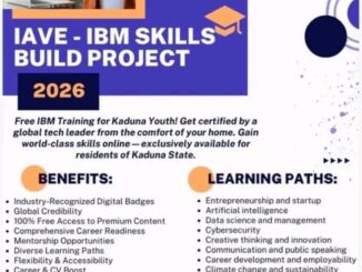 IAVE-IBM SkillsBuild Project