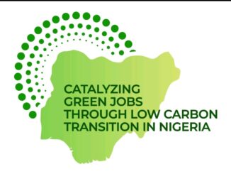 Youth Green Jobs Fellowship Nigeria 2026