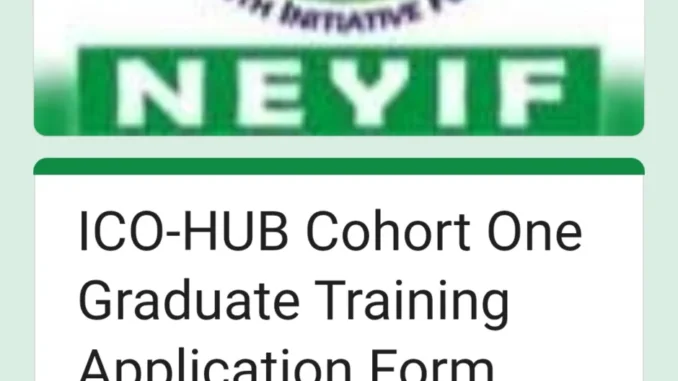 NEYIF Graduate Training Programme 2026